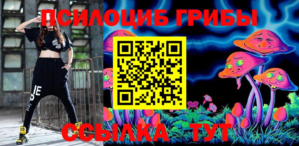 Псилоцибиновые грибы Psilocybe  Псилоцибиновые грибы Magic Shrooms  Знаменск  Вход с VPN 